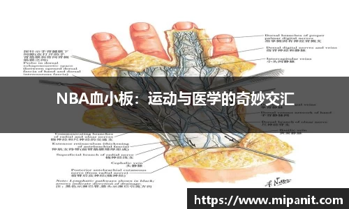 NBA血小板：运动与医学的奇妙交汇